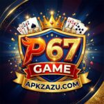 P67 Game