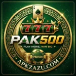 pak500 game